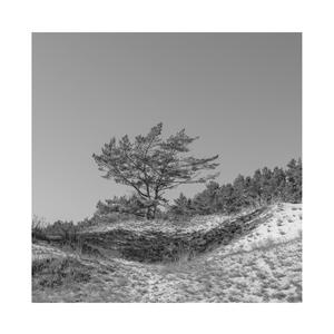 《职场上的应酬》无删减版
